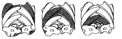 螺桿空壓機的壓縮過程 螺桿空壓機的壓縮過程